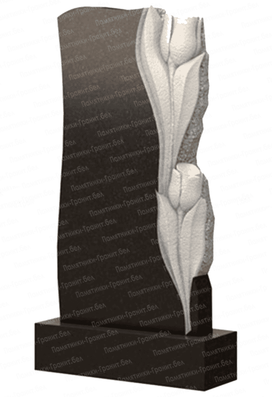 Заказать памятник Россоны фотография